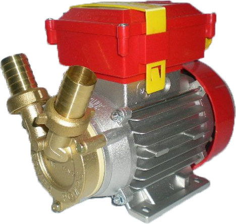 Borszivattyú Rover 25 CE termék fő termékképe